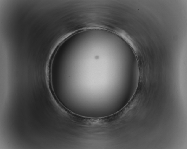 X0000093121003200710031330