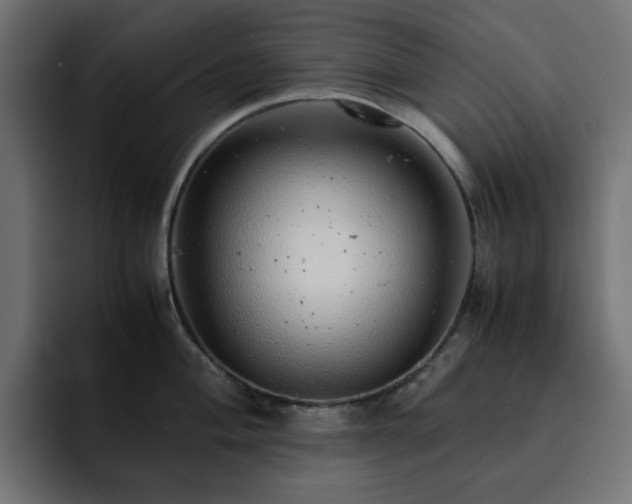 X0000093121004200710031330