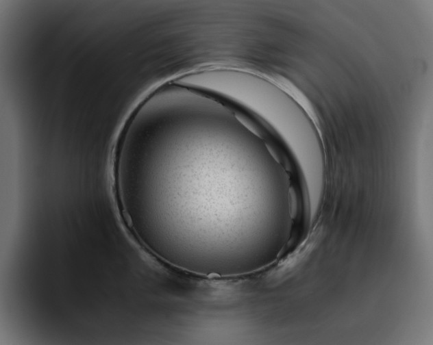 X0000093121005200710031330