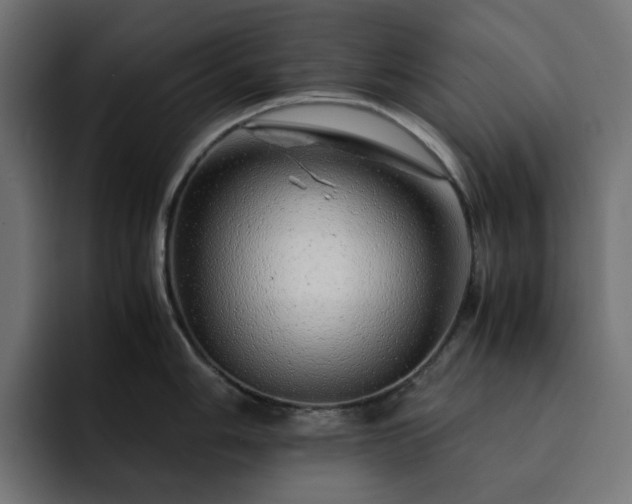 X0000093121006200710031330