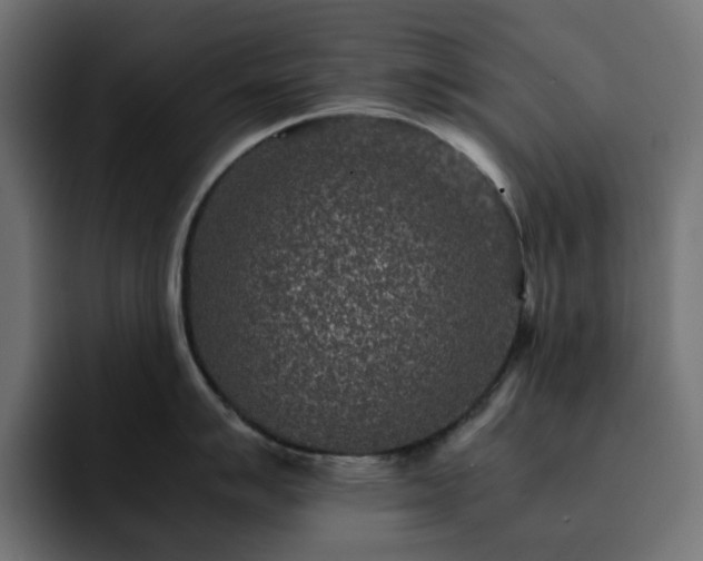 X0000093121007200710031330