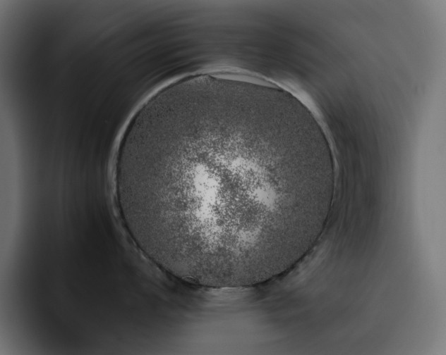 X0000093121008200710031330