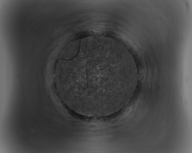 X0000093121009200710031330