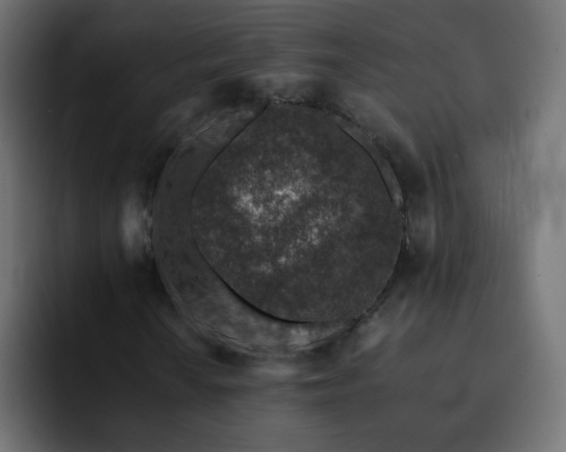 X0000093121010200710031330