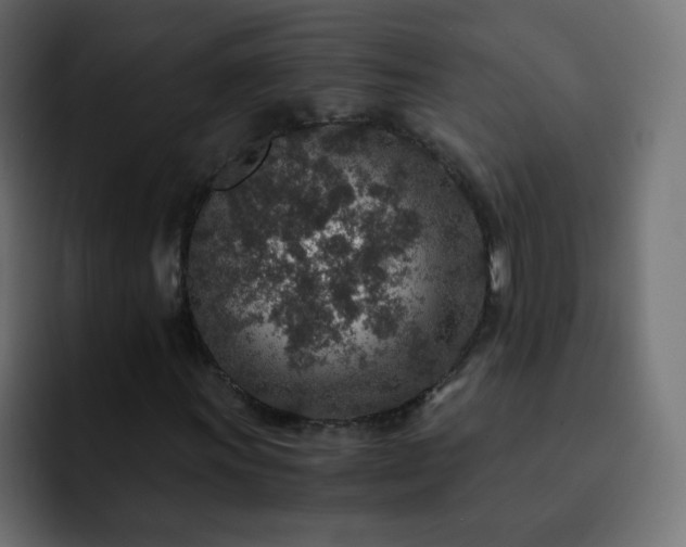 X0000093121011200710031330