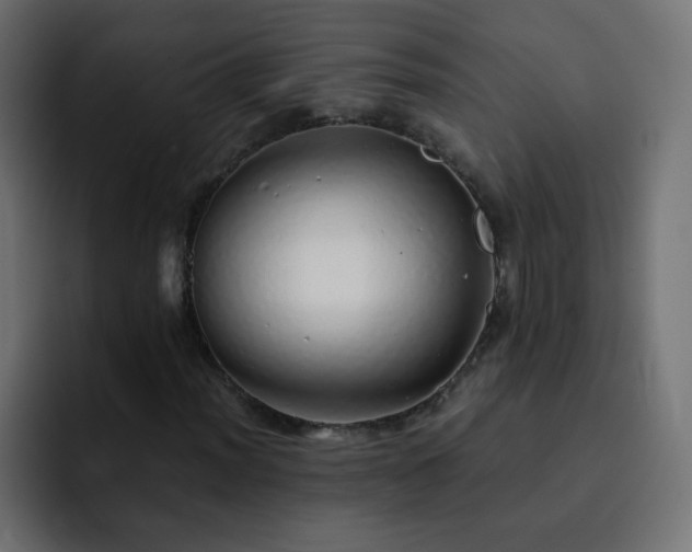 X0000093121012200710031330