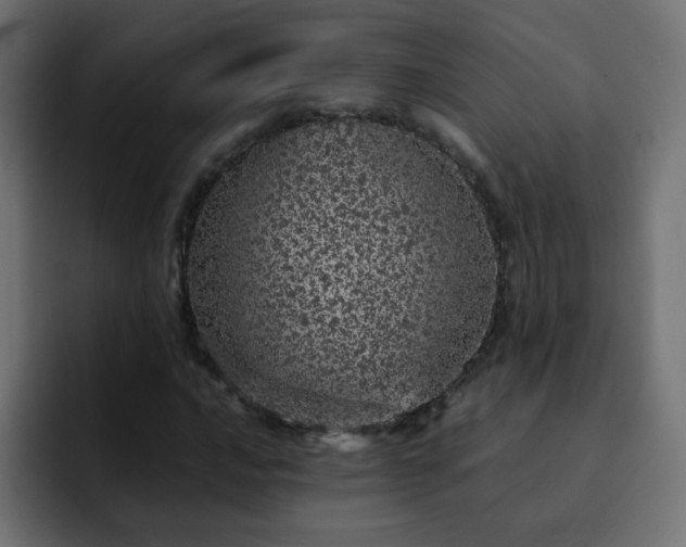 X0000093121016200710031330
