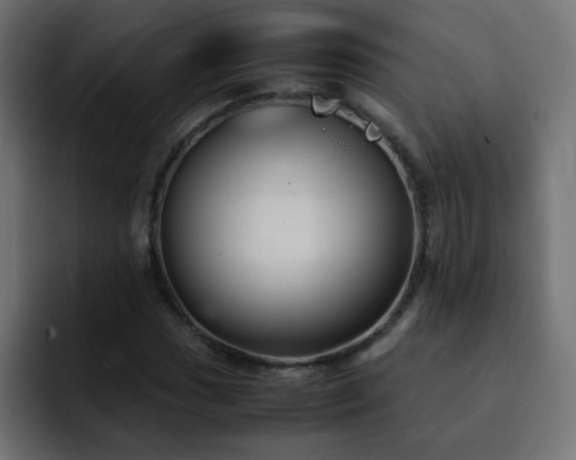 X0000093121017200710031330