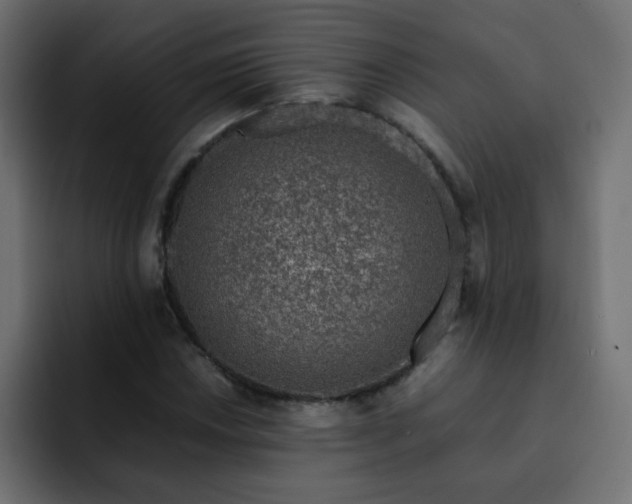 X0000093121018200710031330