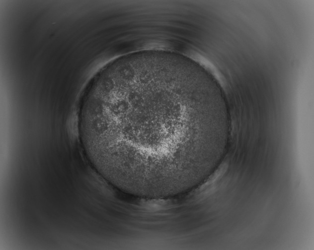 X0000093121019200710031330