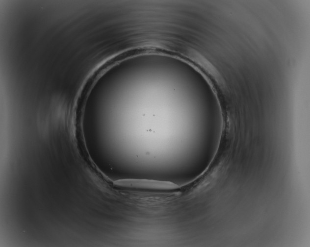 X0000093121020200710031330