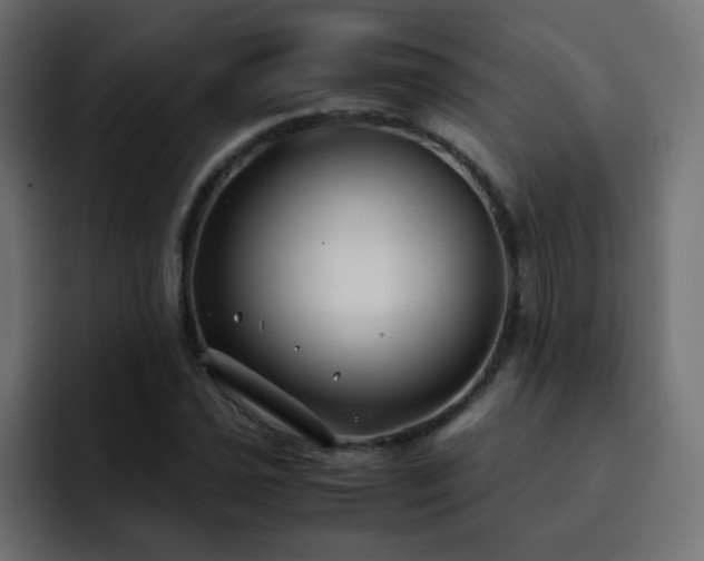 X0000093121021200710031330