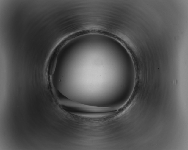 X0000093121022200710031330