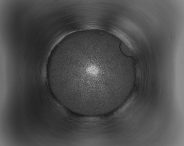 X0000093121023200710031330