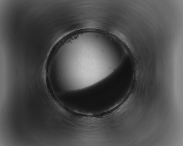 X0000093121024200710031330