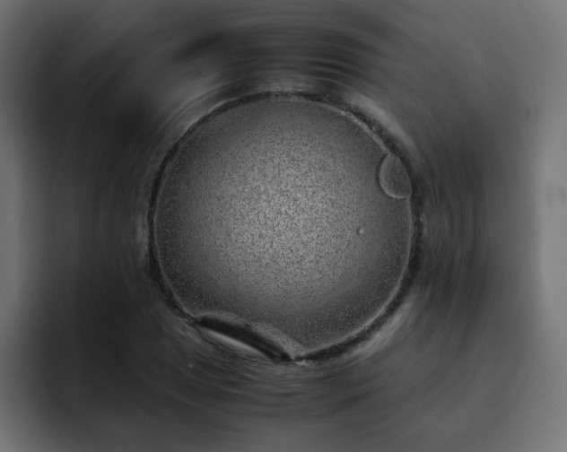 X0000093121025200710031330