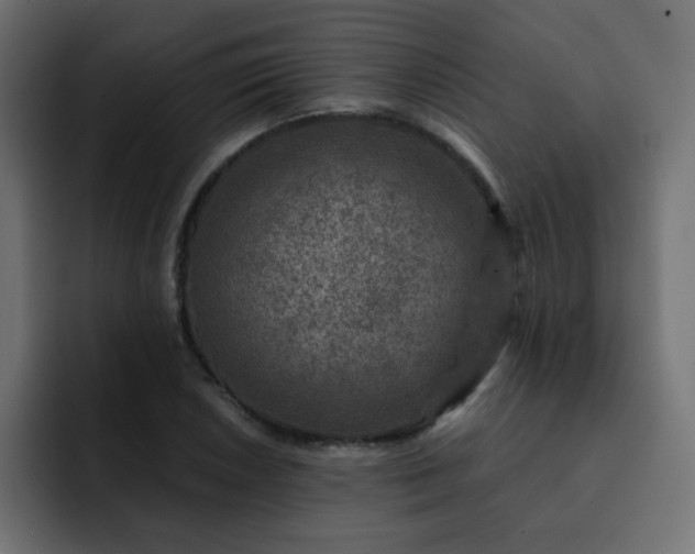 X0000093121026200710031330