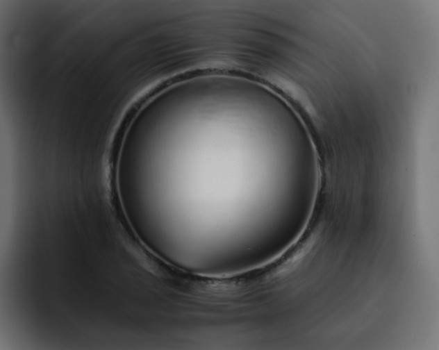 X0000093121029200710031330
