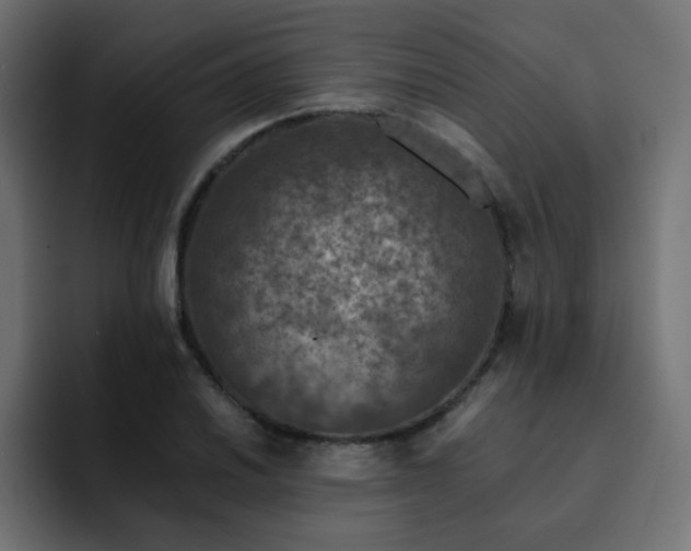 X0000093121030200710031330