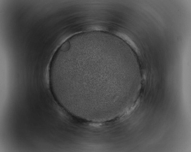 X0000093121031200710031330