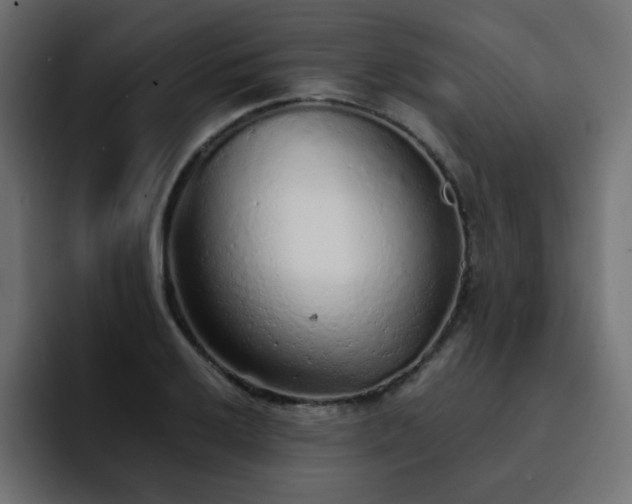 X0000093121032200710031330