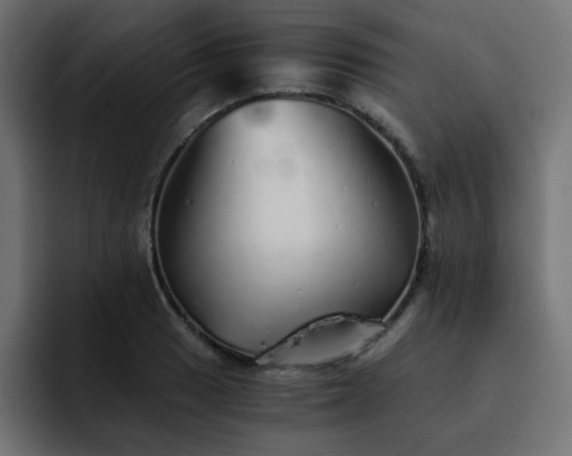 X0000093121033200710031330