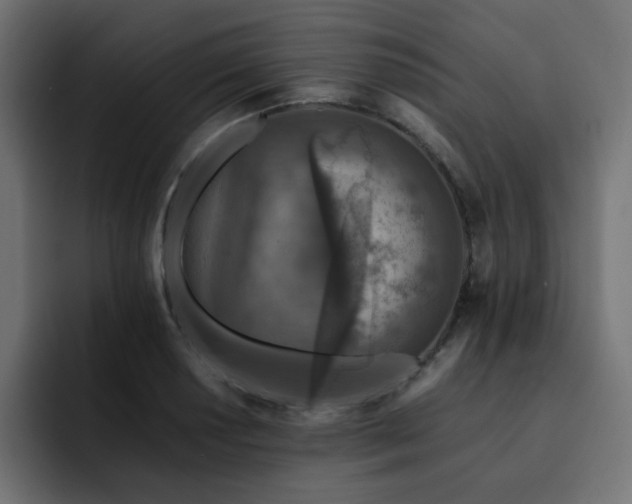 X0000093121034200710031330