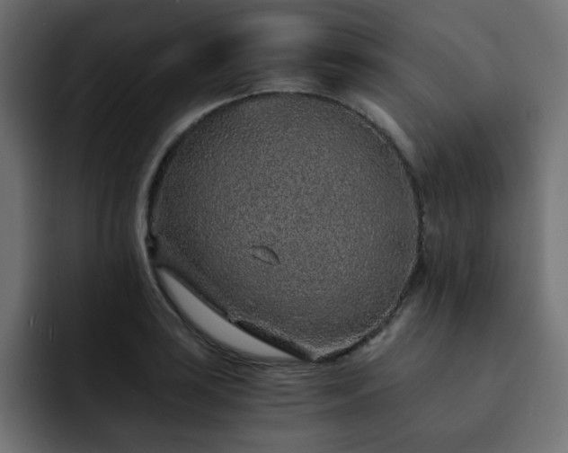 X0000093121035200710031330