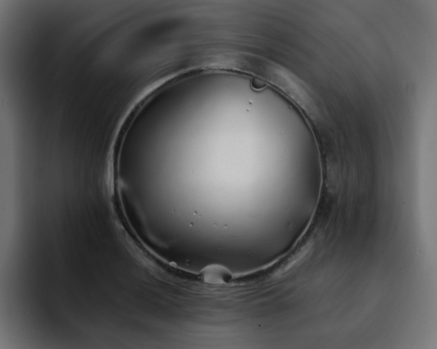 X0000093121036200710031330