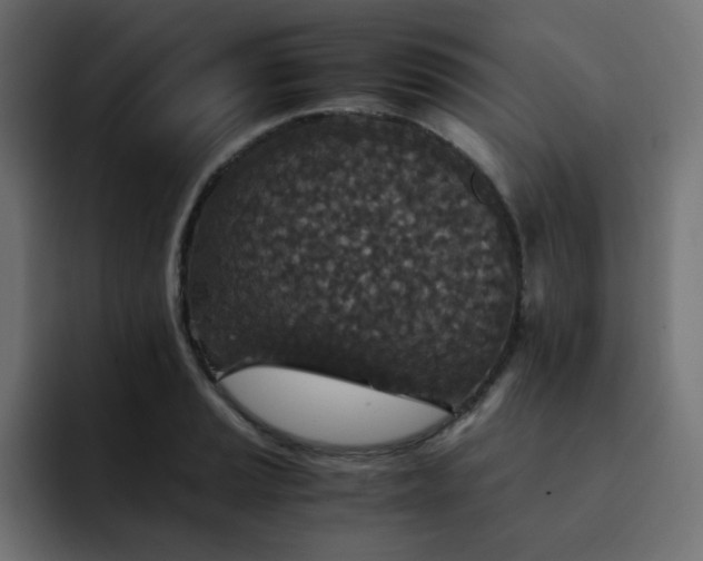 X0000093121037200710031330
