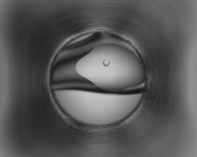 X0000093121038200710031330