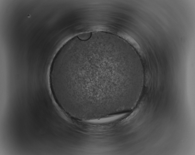 X0000093121039200710031330