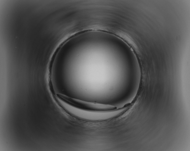 X0000093121040200710031330