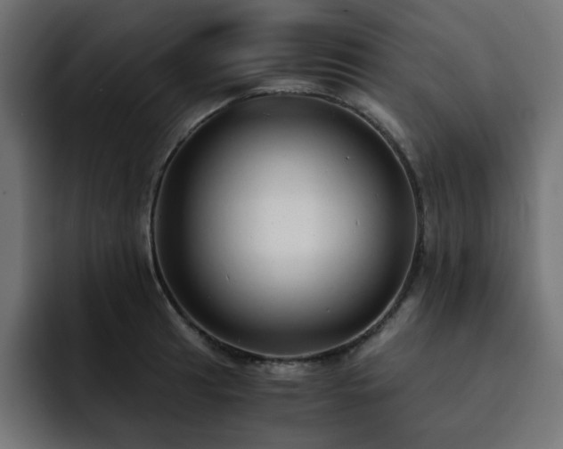 X0000093121041200710031330