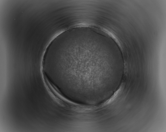 X0000093121042200710031330