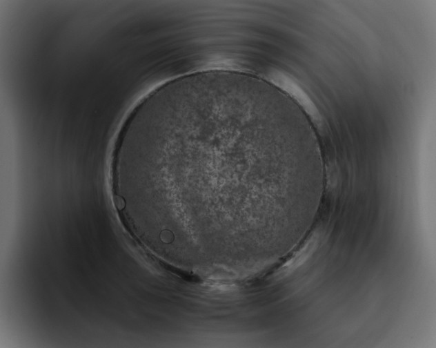 X0000093121043200710031330