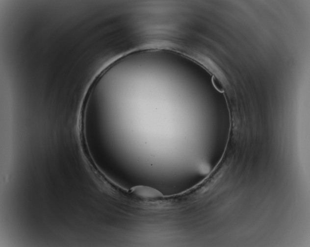 X0000093121044200710031330
