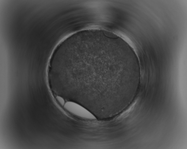X0000093121045200710031330