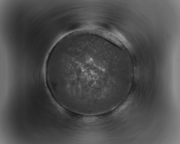 X0000093121046200710031330