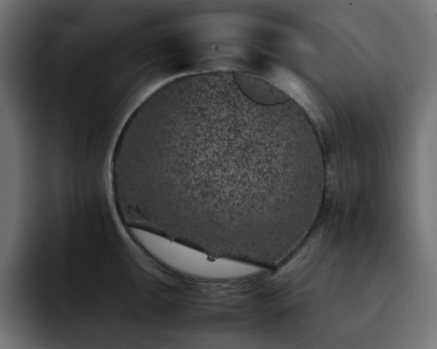 X0000093121047200710031330