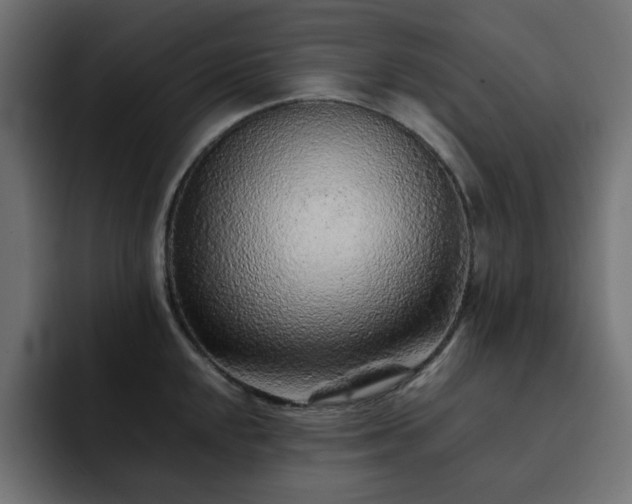 X0000093121048200710031330