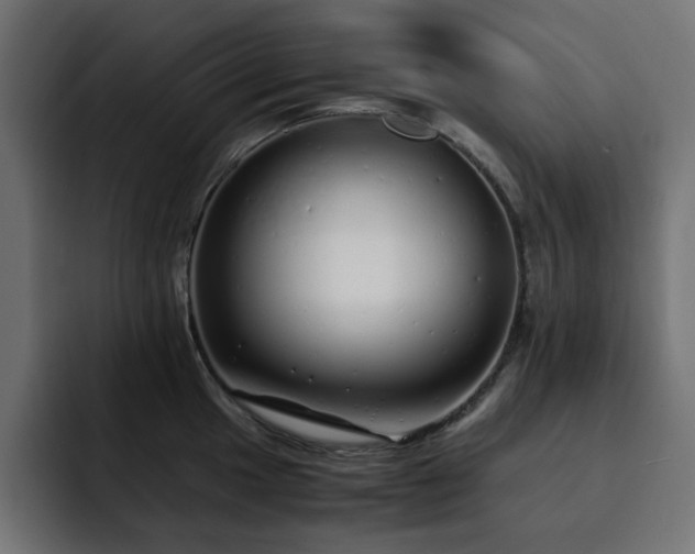 X0000093121049200710031330