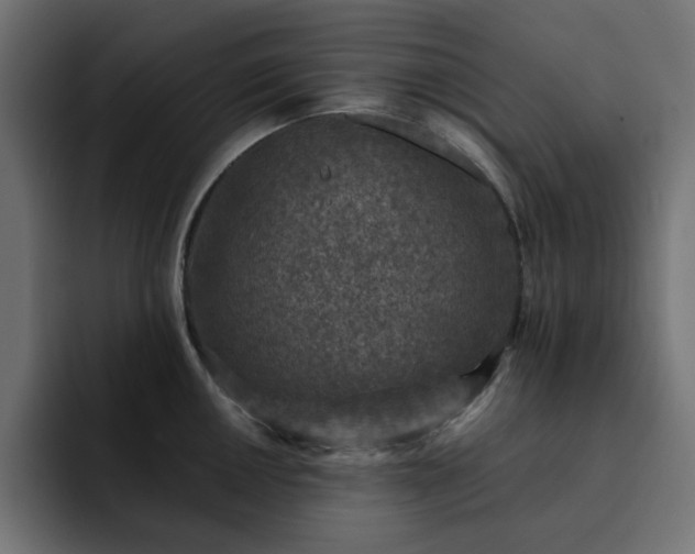 X0000093121050200710031330