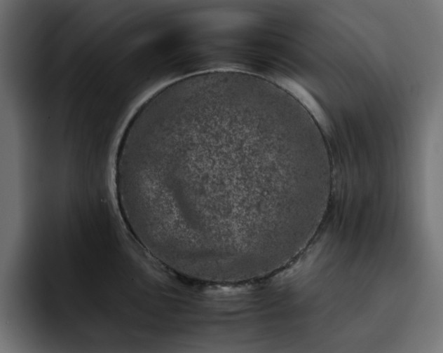 X0000093121051200710031330