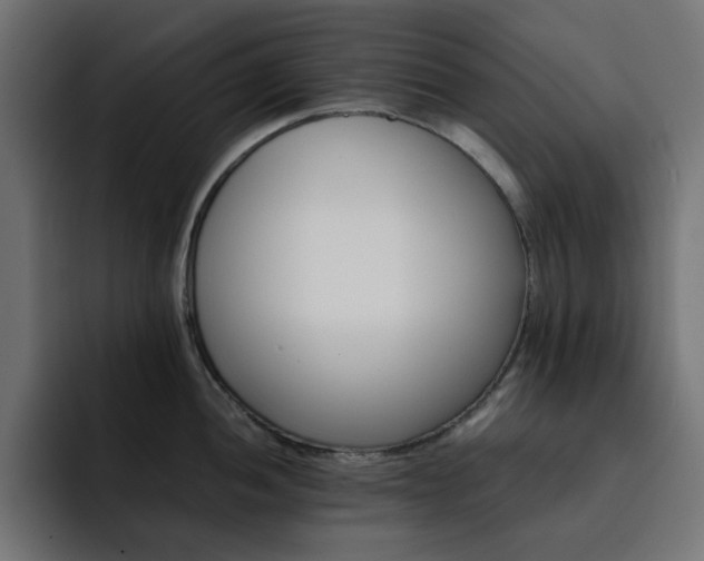 X0000093121052200710031330