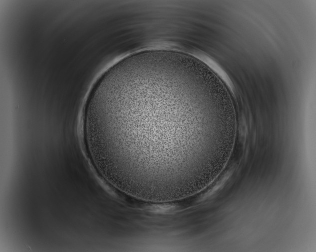 X0000093121053200710031330
