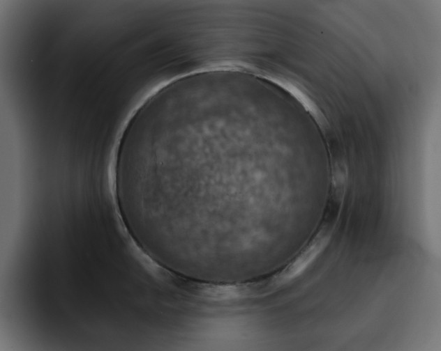 X0000093121054200710031330