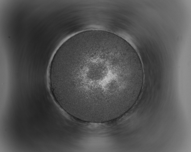 X0000093121056200710031330