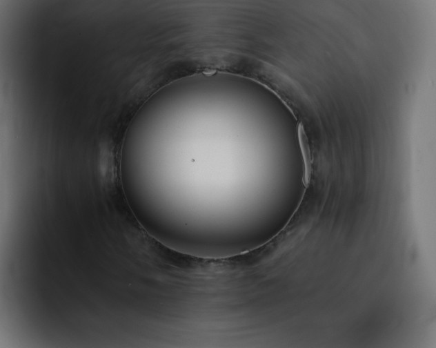X0000093121058200710031330