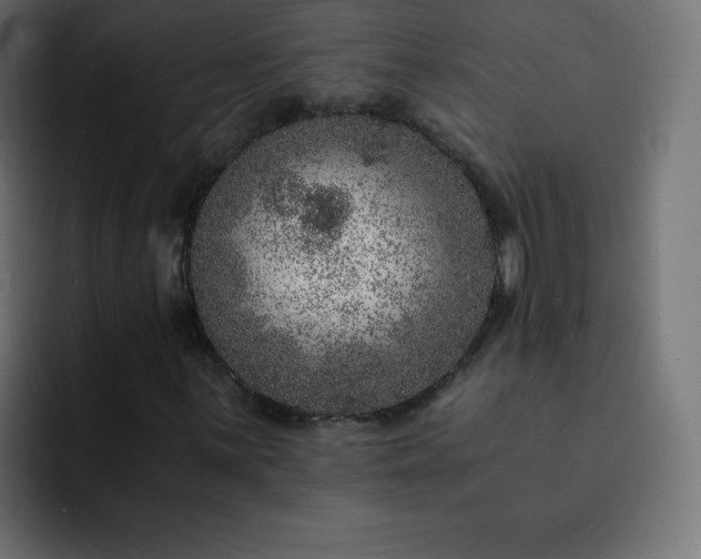 X0000093121059200710031330